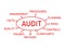 Audit , writing plan text