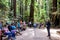 August 10, 2018 Mill Valley / CA / USA - Volunteer at the Muir Woods National Monument giving a presentation to a group of
