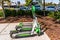 August 14, 2019 San Jose / CA / USA - Lime Electric Scooters parked near a public transit center in order to cover the last-mile;