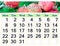 August 2022 Calendar for organizer to plan and reminder on nature background