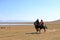 August 24 2023 - Song kol Lake, Kyrgyzstan: Performance of kyz kuuma (girl chasing), equestrian traditional sport