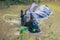 August 27, 2014 - Indian Rhino bathing in Chitwan National Park,