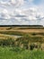 August field, hills and pond