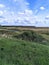 August field, hills, wood and pond, cloudy sky