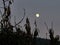 August full moon over the highest mountain peak of Cyprus Olympus