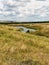 August  yellow field, blue pond, hills and sky