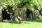 Aulps Abbey ruin between the trees, Saint-Jean-d`Aulps, French Alps