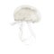 Aurelia aurita also called the common jellyfish against white ba