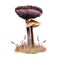 Auriscalpium vulgare, pinecone and cone tooth mushroom closeup digital art illustration. Boletus has fibrous body and