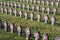 Aurisina Austro-Hungarian First World War Cemetery