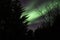 Aurora blazing over trees silhouttes