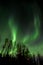 The aurora borealis: Alaska`s natural night light