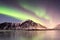 Aurora borealis on the Lofoten islands, Norway. Green northern lights above mountains.