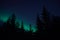 Aurora borealis northern light on winter night sky over trees