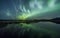 Aurora Borealis (Northern Lights) above a lake with reeds and grass