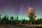 Aurora Borealis, Northern lights over wooden cottage in national park at Jasper