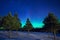 Aurora borealis over conifer forest in Perce