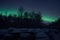 Aurora borealis over firewood stacks and birch trees