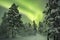 Aurora borealis over a path through winter landscape, Finnish La