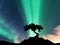 Aurora borealis and silhouette of a tree on the mountain