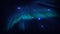 Aurora Borealis on starry sky northern sea sunset reflection on water  nature nebula cosmic starry background