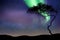 Aurora borealis Starry universe  sky cosmic nebula  light flares skyscape template  background