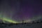 Aurora borealisin taiga