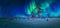 Aurora green lights panorama at northern sky, young snowy pine tree forest