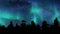 Aurora northern lights trees Vacation travel winter forest landscape starry sky 3d