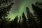 Aurora shining Swedish forest landscape Tannforsen Waterfall Northern Lights color sky Northern Sweden, Scandinavia