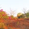 Auroville statue park india