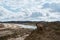 Aussie puppy and adult shepherd. Two Shepherds German and Australian sit on top of sand dune and look into distance. Dogs on sand