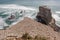 The Australasian Gannet Colony in New Zealand