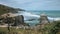 Australasian Gannets at the Muriwai Gannet Colony