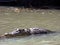 Australia, alligator river, kakadu,