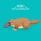 Australia animal brown crawling duckbilled platypus isolated on azure background