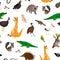 Australia animals pattern