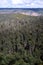 Australia: Blue Mountains bushland from Mount Banks