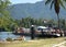 Australia- Car Ferry Crossing the Tropical Daintree River