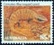 AUSTRALIA - CIRCA 1981: A stamp printed in Australia from the `Wildlife` issue shows a Centralian blue-tongued lizard, circa 1981