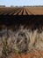 Australia: cotton field irrigation ditches