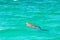 Australia dugong while swimming on sea surface