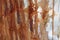 Australia: eucalyptus tree bark texture