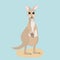 Australia kangaroo animal mother with child in pocket on blue background. Vector illustration of isolated australian