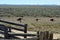 Australia, Mungo National Park