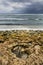 Australia ocean sea winter storm rock