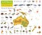 Australia and Oceania flora and fauna map, flat elements. Animal