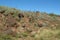 Australia, The Pebbles - Kunjarra