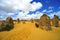 Australia: Pinnacles desert