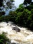 Australia, Queensland. Daintree national park. Mountain river and Rainforest